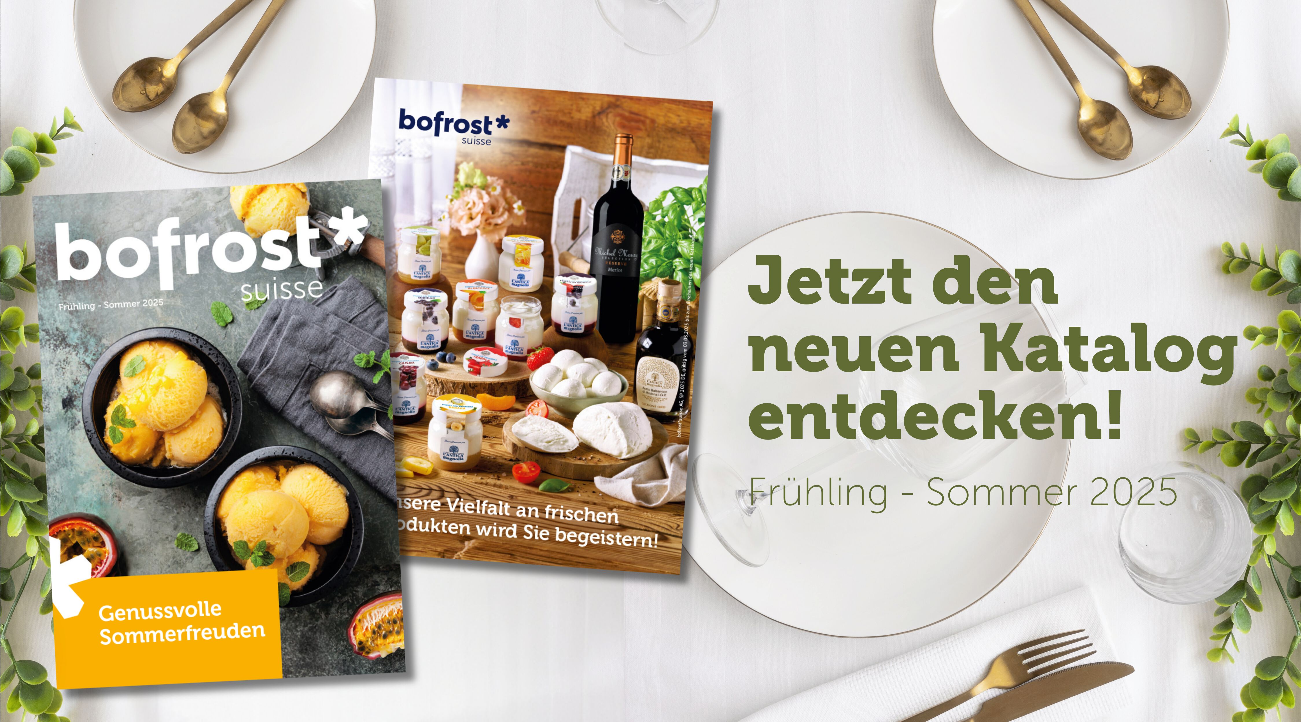 Katalog Frühling - Sommer 2025