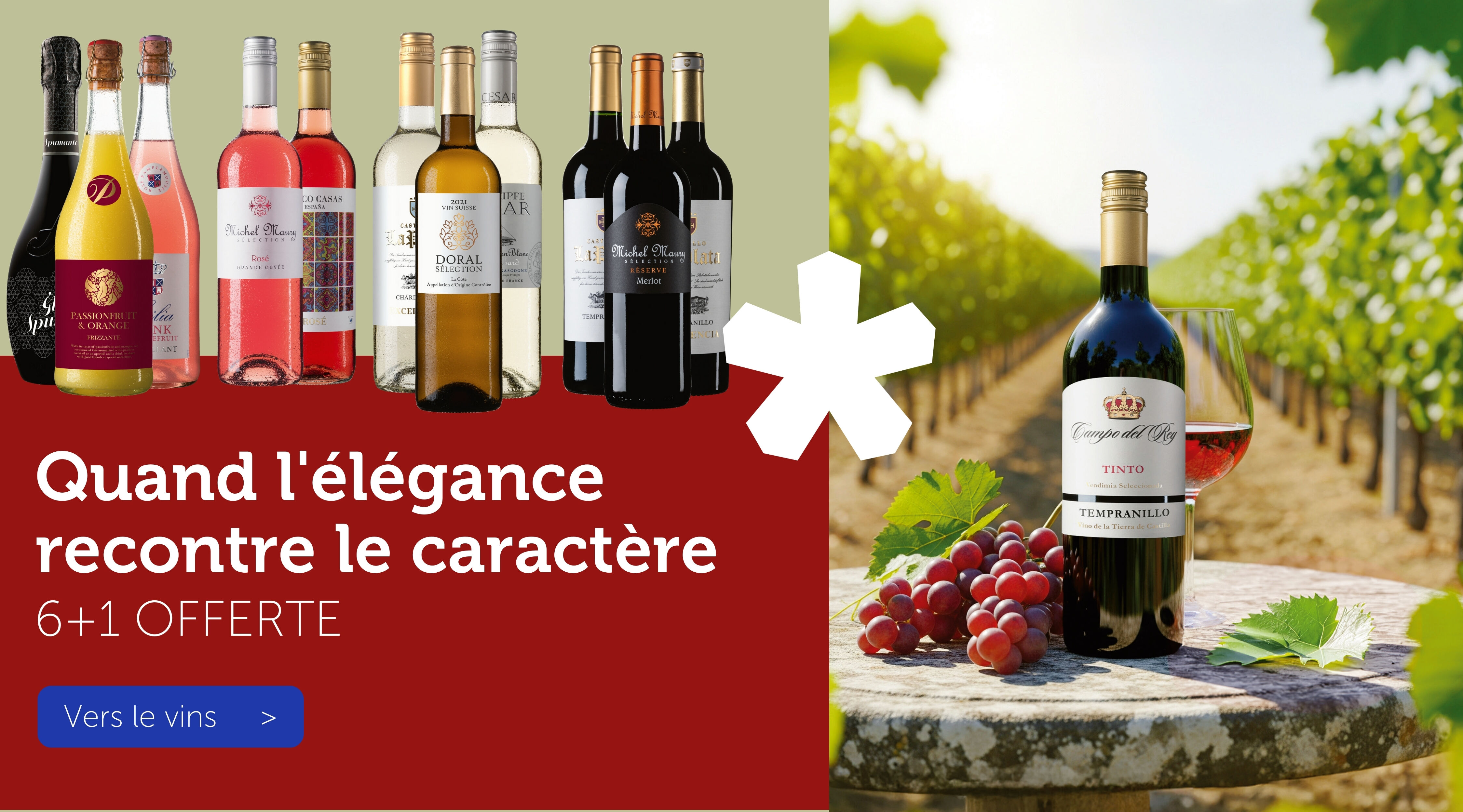 Vins - 6+1 OFFERTE