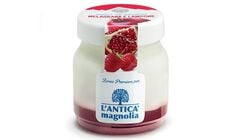 Yogurt e Dessert - Yogurt Melagrana e Lampone