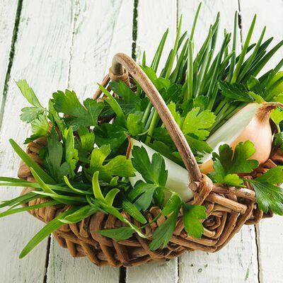 Erbe - Jardin des herbes classique