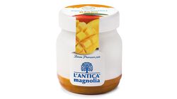 Yogurt e Dessert - Joghurt Mango