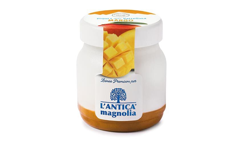 Yogurt e Dessert - Joghurt Mango