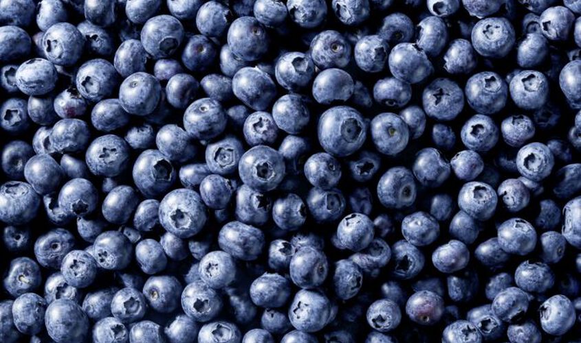 Fruits - Myrtilles