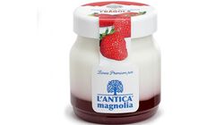 Yogurt e Dessert - Yaourt &agrave; la fraise
