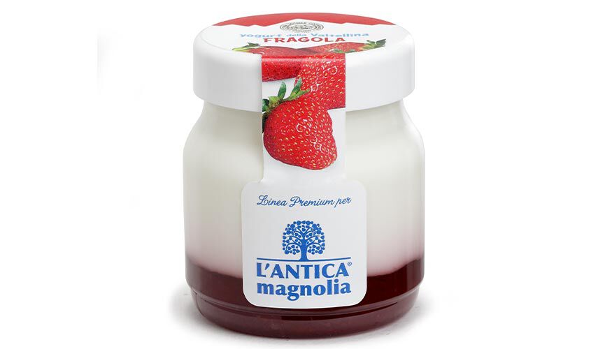 Yogurt e Dessert - Yaourt &agrave; la fraise