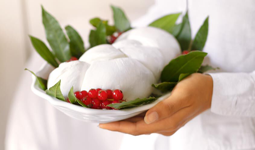 Formaggio - Treccia Mozzarella di Bufala Campana DOP