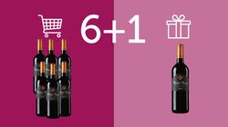 Vini Rosso - 6+1 Michel Maury Merlot R&eacute;serve, Pays d'Oc IGP