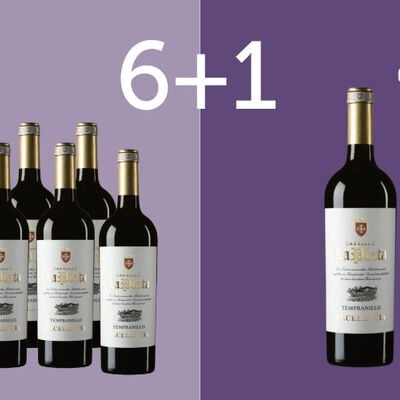 Vini Rosso - 6+1 Castillo la Plata&nbsp;Tempranillo Excelencia VdT Castilla