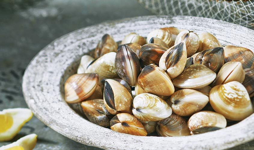 Frutti di mare - Venusmuscheln