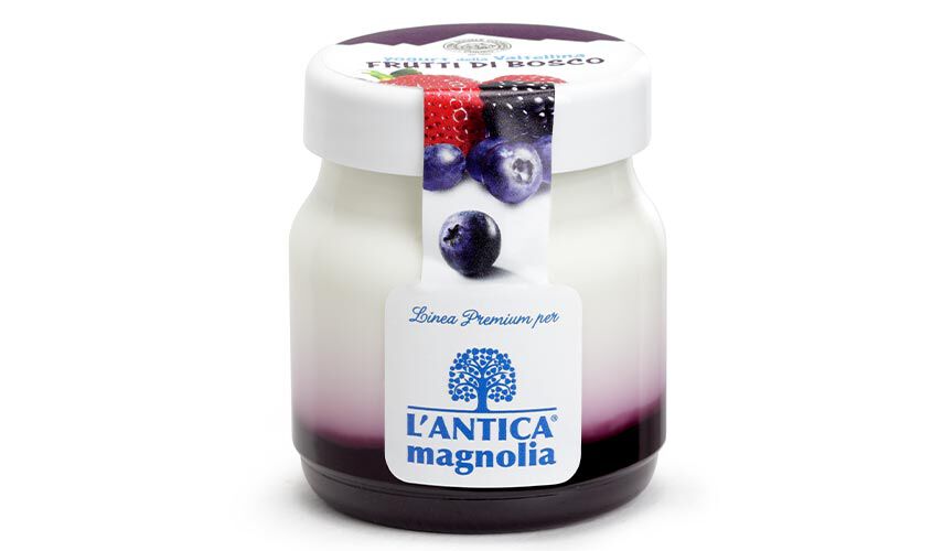 Yogurt e Dessert - Yaourt aux fruits des bois