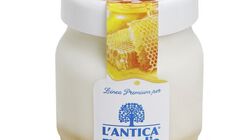 Yogurt e Dessert - Yogurt Miele e Pappa Reale