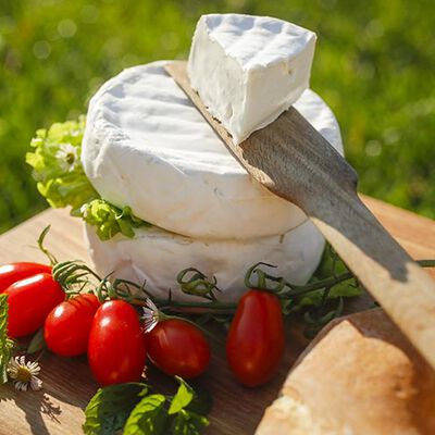 Formaggio - Camembert di Bufala