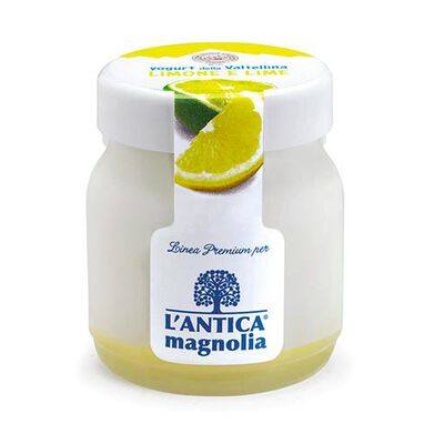 Yogurt e Dessert - Joghurt Zitrone und Limette