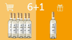 Vini Bianchi - 6+1 Castillo La Plata Chardonnay Excelencia, VdT Castilla