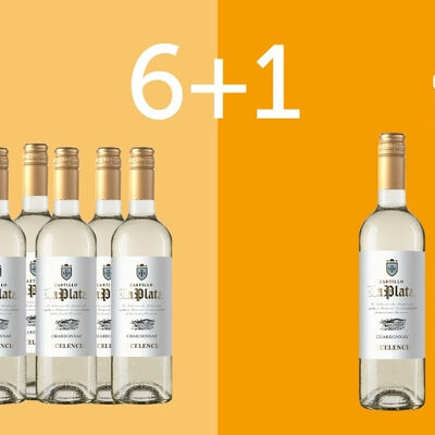 Vini Bianchi - 6+1 Castillo La Plata Chardonnay Excelencia, VdT Castilla