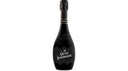 Prosecco / Frizzante - Glera Spumante Dry Vino Spumante Aromatico di Qualit&agrave;