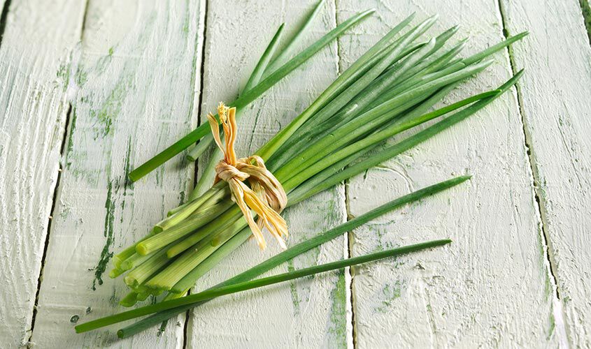 Erbe - Jardin des herbes ciboulette