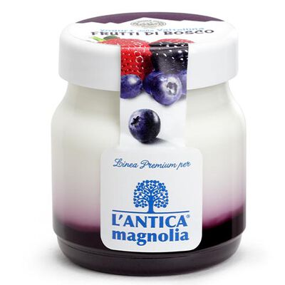 Yogurt e Dessert - Yaourt aux fruits des bois