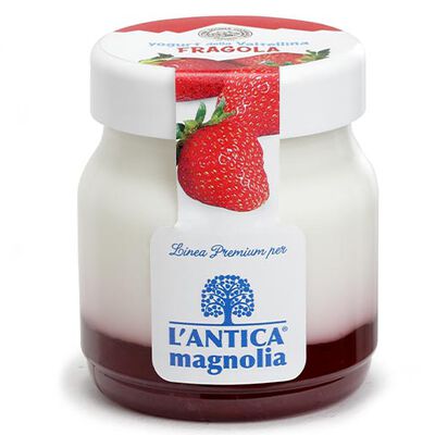 Yogurt e Dessert - Yaourt &agrave; la fraise