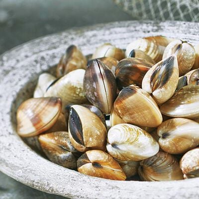 Frutti di mare - Palourdes