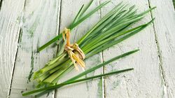 Erbe - Jardin des herbes ciboulette