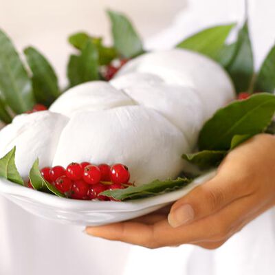 Formaggio - Treccia Mozzarella di Bufala Campana DOP