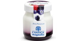 Yogurt e Dessert - Yogurt Frutti di Bosco