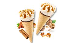 Sale - -40% Mini-cornets &agrave; la cannelle et aux noix