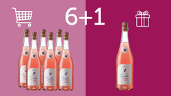Cocktail Alcolici Aromatizzati - 6+1 Gilia Pink Pompelmo Rosa