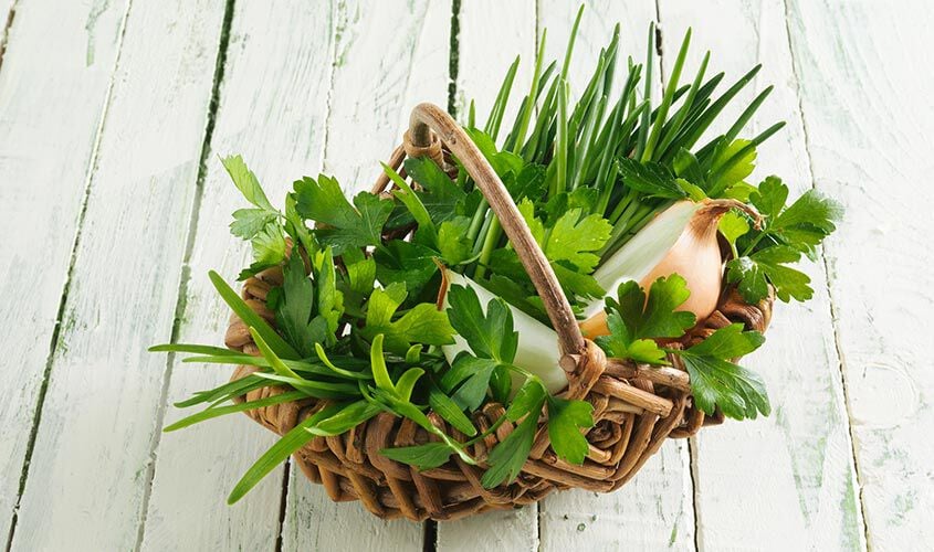 Erbe - Kr&auml;utergarten klassisch