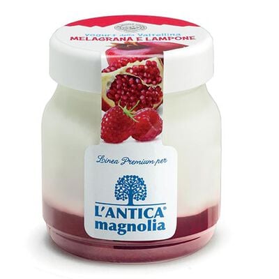 Yogurt e Dessert - Joghurt Granatapfel und Himbeere