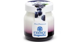 Yogurt e Dessert - Yogurt Mirtillo