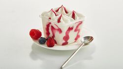 Mini Formati - I Cremosini Yogurt-Frutti di Bosco
