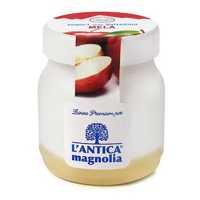 Yogurt e Dessert - Yaourt &agrave; la pomme