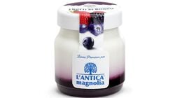 Yogurt e Dessert - Yogurt Frutti di Bosco