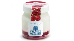 Yogurt e Dessert - Yaourt &agrave; la grenade et framboise