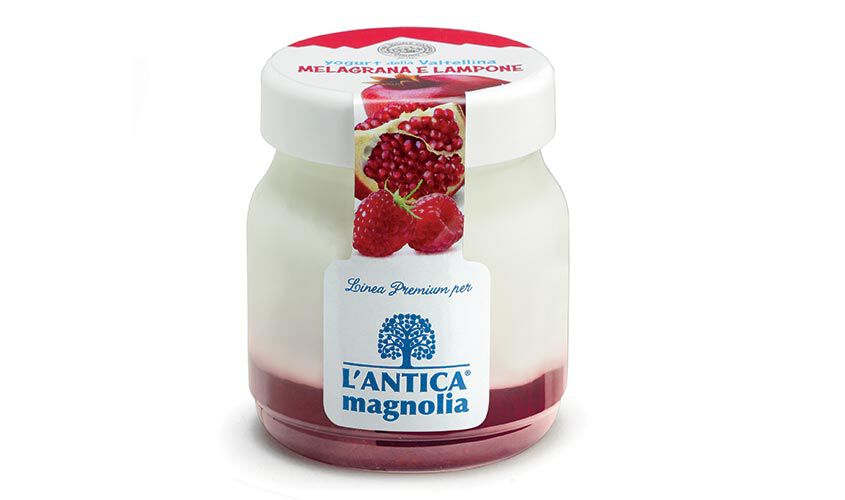 Yogurt e Dessert - Yaourt &agrave; la grenade et framboise