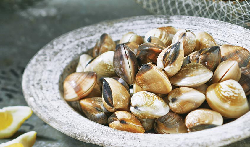 Frutti di mare - Venusmuscheln