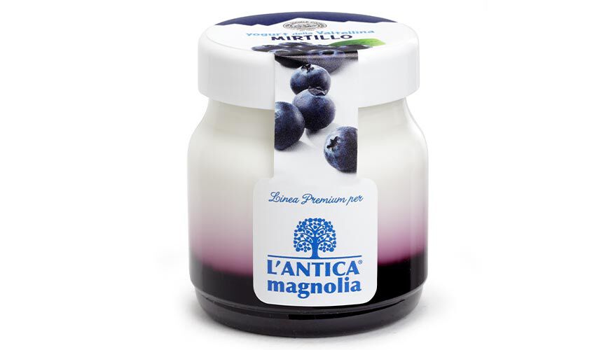 Yogurt e Dessert - Joghurt Heidelbeere