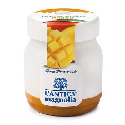 Yogurt e Dessert - Yaourt &agrave; la mangue