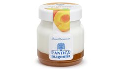 Yogurt e Dessert - Yogurt Albicocca