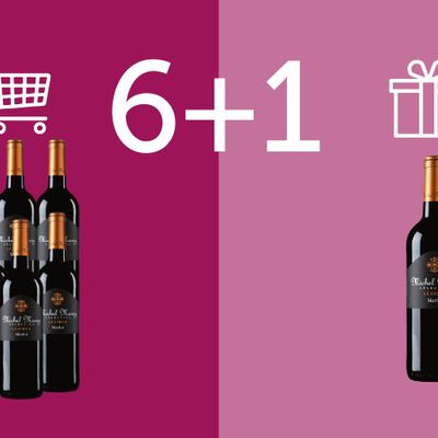 Vini Rosso - 6+1 Michel Maury Merlot R&eacute;serve Pays d'Oc IGP