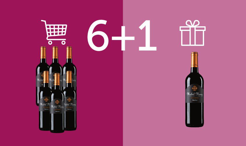 Vini Rosso - 6+1 Michel Maury Merlot R&eacute;serve Pays d'Oc IGP