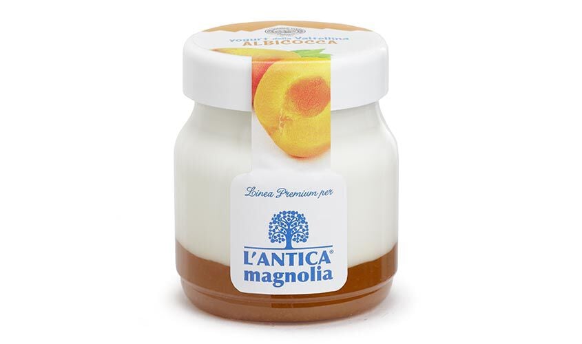 Yogurt e Dessert - Yaourt &agrave; l'abricot