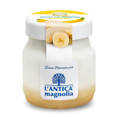 Yogurt e Dessert - Yaourt banane