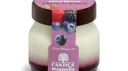 Yogurt e Dessert - Rêve de dessert aux baies des bois