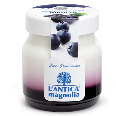 Yogurt e Dessert - Joghurt Heidelbeere
