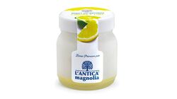 Yogurt e Dessert - Yaourt au citron et citron vert