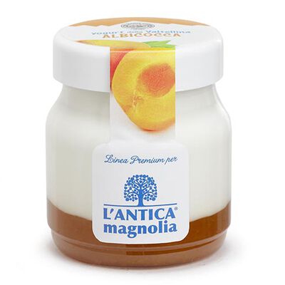 Yogurt e Dessert - Yaourt à l'abricot