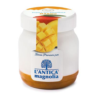 Yogurt e Dessert - Yaourt &agrave; la mangue